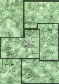 (C90) [Nejimaki Kougen (Kirisawa Tokito)] Daiyousei Hyouhon (Touhou Project) [Chinese] [EGO自漢化]