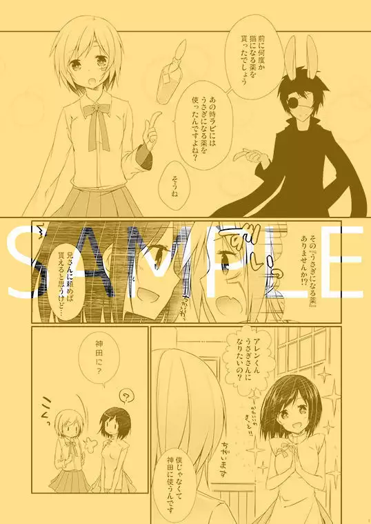 C 84 shinkan sanpuru sample