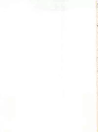 Shin Bishoujo Shoukougun 2 Mirai Hen