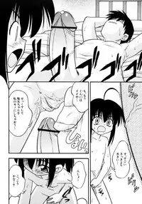 [Ie-i Tomii] Meconopsis