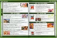 RanceVI Collapse of Zeth Booklet Manual