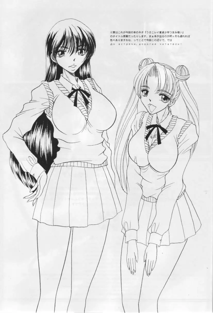 Sailor Moon Illustration Collection 7.5