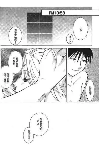 Fullmetal Alchemist 6