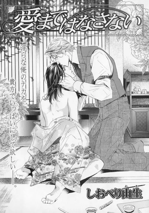 b-BOY Phoenix Vol.1 Zecchou Tokushuugou