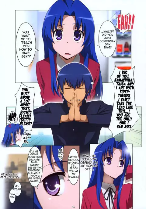 Toradora - Ami Plus