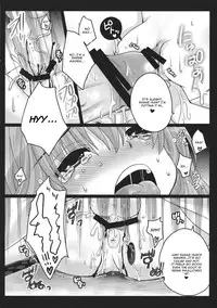 (COMIC1☆5) [Usubeniya (Usubeni Sakurako)] Shinkou no Tamamono (Touhou Project) [English] [CGrascal]
