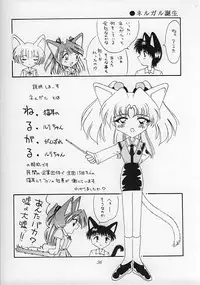 (C51) [Nekomimi Sorcery (Masamineko)] Ebaneko (Neon Genesis Evangelion)