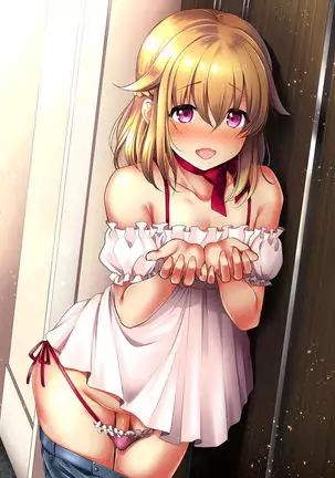 Pet Life ~Miu no Otsukai~