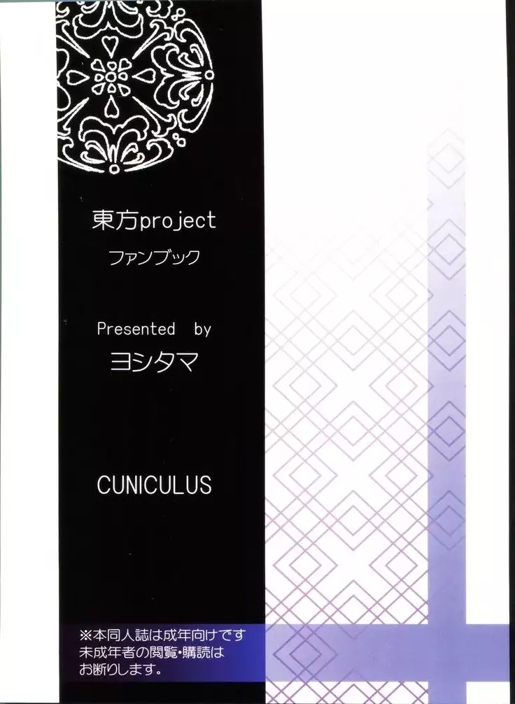 Everyday Night Fever!!