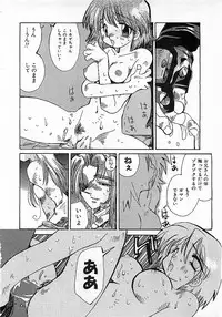 Colorful Bee 1999-10