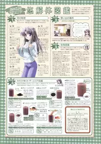 Canvas Sepia iro no motif Visual Fan Book