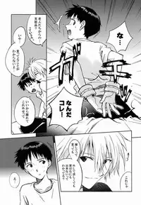 (C80) [Cassino (Magarikoji Lily)] LOCK'N' UP! (Neon Genesis Evangelion)