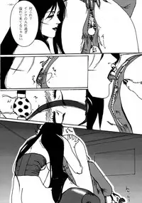 (CR23) [METAL (Various)] Rougetsu Toshi - Misty Moon Metropolis COMIC BOOK VIII