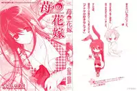 [Mizushima Sorahiko] Ichigo no Hanayome