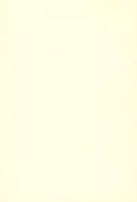 (Triplet Rhapsody 8) [Sumi kara Sumi made (Gabyo Nuno)] Totechite Ofuro (Mitsudomoe)