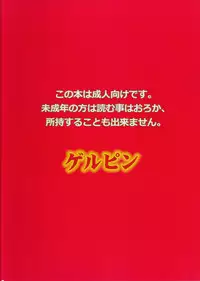 (C87) [Gerupin (Minazuki Juuzou, USSO)] Hajimete no sekai (Gundam Build Fighters Try)