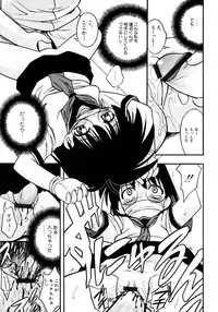 [yeahhhy tomii] Meconopsis