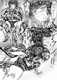 [Hayashi] Shadowverse no Hon (Shadowverse)