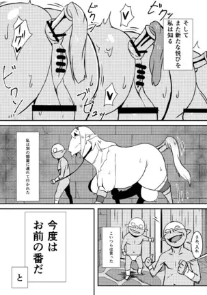 Queen's Stallion クイーンズスタリオン