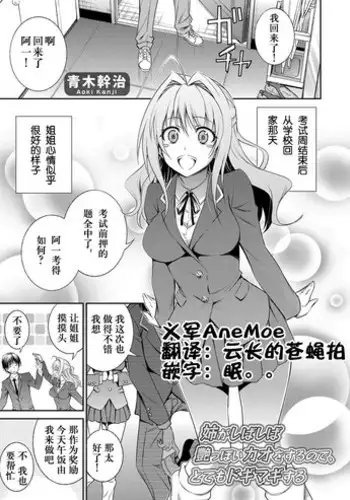 [Aoki Kanji] Ane ga Shibashiba Tsuyappoi Kao o Suru node, Totemo Dogimagi Suru (COMIC Grape Vol. 13) [Chinese] [Digital]