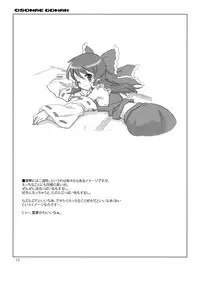 (C74) [Vitamin Gohan (Hasegawa Keita)] Osonae Gohan (Touhou Project)