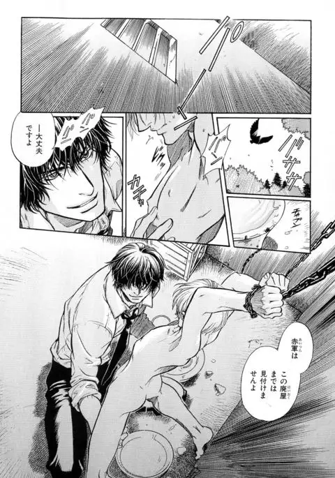 b-BOY Phoenix Vol.10 Odougu Tokushuu