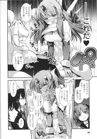 [Nixinamo Lens] [にびなも凸面体] Light Crusader エリカ #1~4