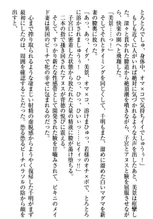 年上メイドの新婚日記