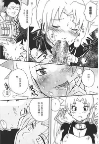 [Kishimoto Saisi] naruto ninja biography vol.07 (naruto) [chinese]