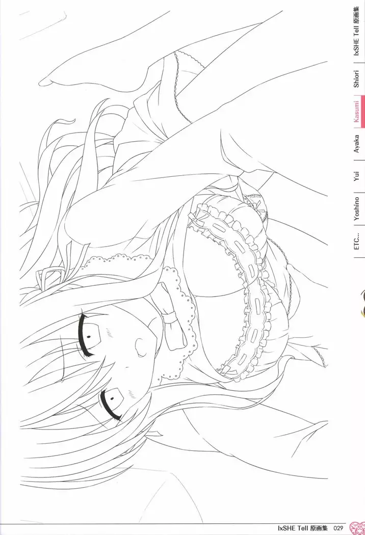 IxSHE Tell illustration art book