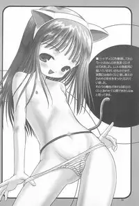 (C70) [Yanasegawabeya (KIYOSE)] L.L7 Neko no Hon