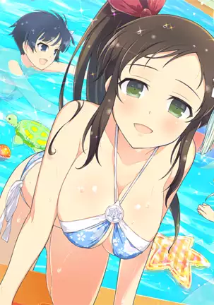 Master Ninja Senran Kagura NEW LINK - Swimsuits