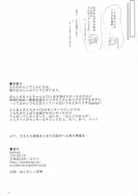 (C72) [Kanmidokoro USB (Furiri)] Hell Cat (Lucky Star)