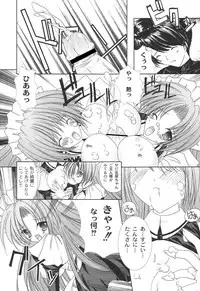 [Shikigami Azuma] Nichoume no Nekogamisama [Digital]