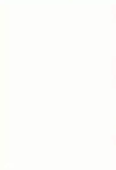 (C65) [Naisho no Tsubomi (Unazuki Renge)] Naisho no Tsubomi (Various)