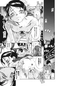 [Eromangaman] Kuwagata - The Stag Beetle