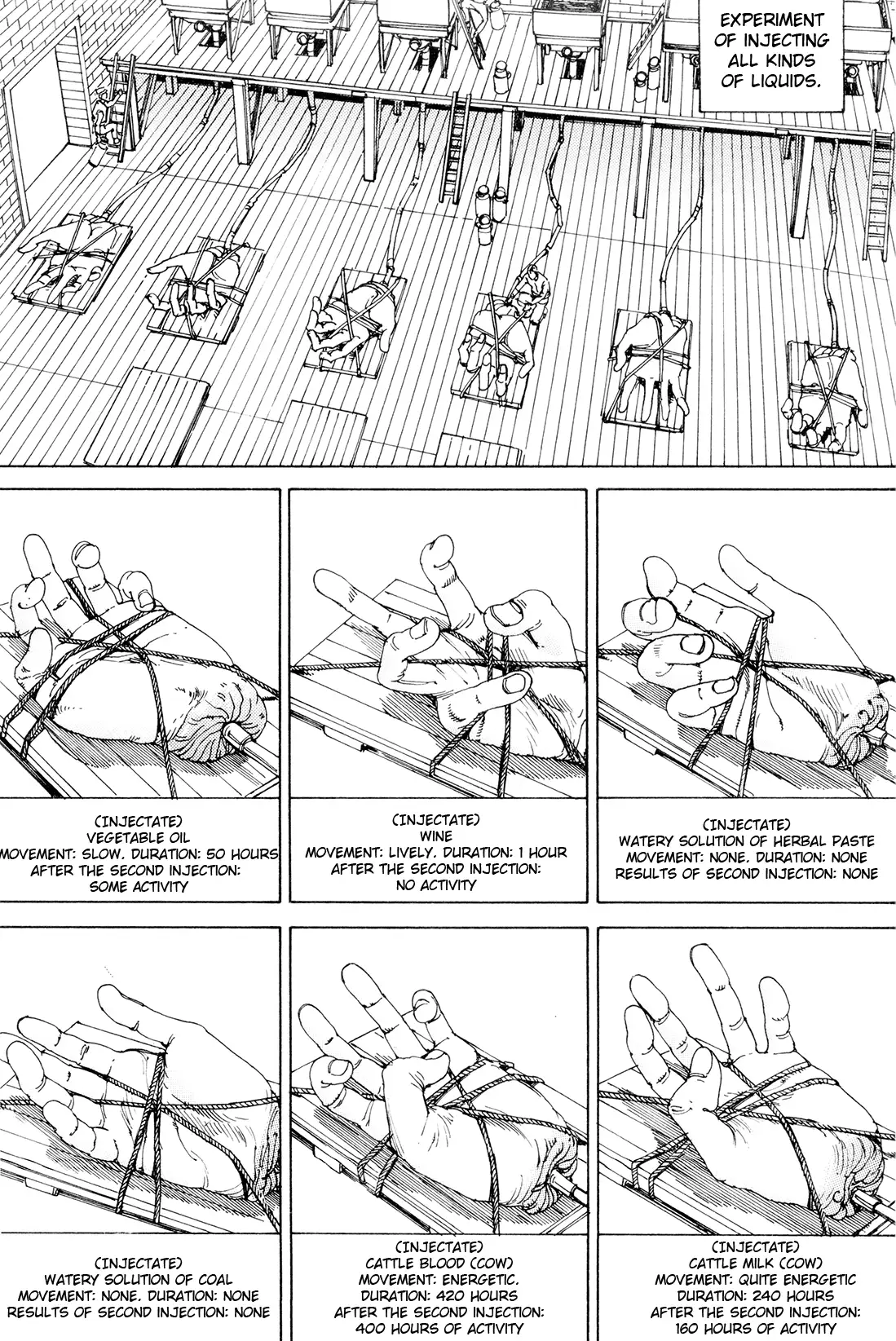 Super Powered Mongolia Invasion