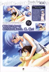 Haruka ni Aogi, Uruwashi no Visual Fanbook