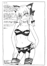 [Kamikadou (Ginyou Haru)] Reitaisai 13 Omake bon (Touhou Project) [Digital]