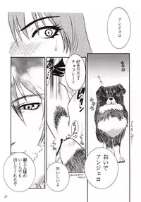 [Tom Umematsu] Pink Paradox (Final Fantasy 8)