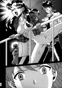 (C50) [Moriman Shouten (Various)] Katze 14 (Neon Genesis Evangelion)