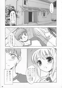 (C67) [Yakan Hikou (Inoue Tommy)] CATTLEYA 3 (Fate/stay night)