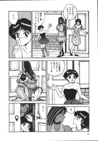 [Tarumoto Hajime] Wild at Sword