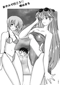 (C50) [Moriman Shouten (Various)] Katze 14 (Neon Genesis Evangelion)