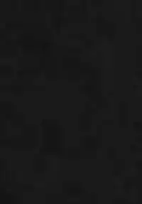 (C93) [Puppukupu (Kawaisaw)] ASSTRSRVNT (Fate/Grand Order)