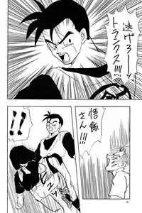 (C47) [Chirigami Goya, Fusuma Goten (Shouji Haruzo)] YY (Dragon Ball Z)
