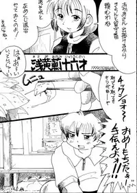 (SC4) [Team Shuffle (Various)] Hikan Musume 2