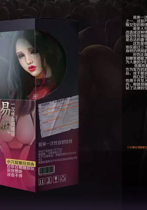 Pocket Corporation 口袋公司：续篇