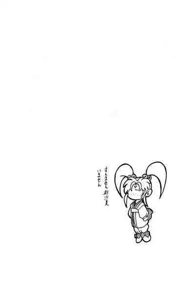 Make a toy of PRINCESS