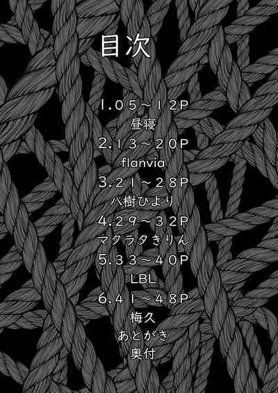 Seiheki Goudou vol.02